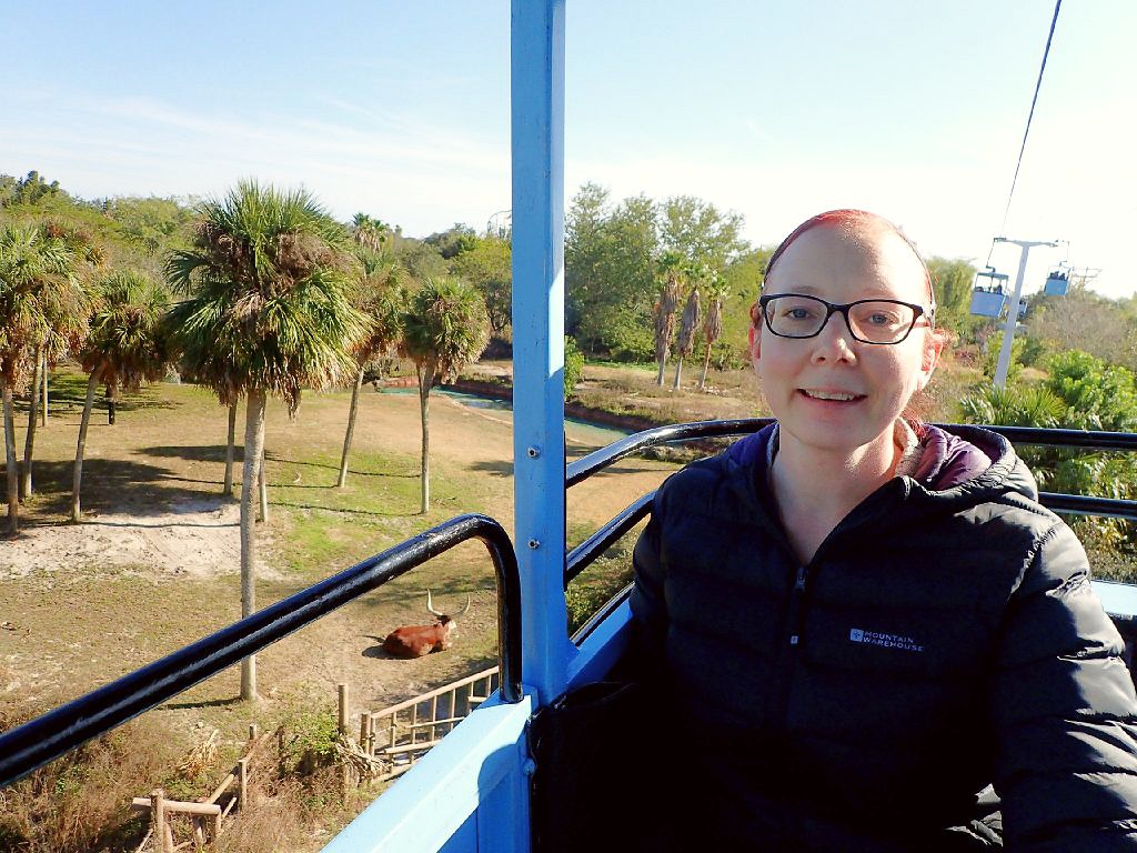 Busch Gardens Tampa Sky Ride Obligatory Traveler